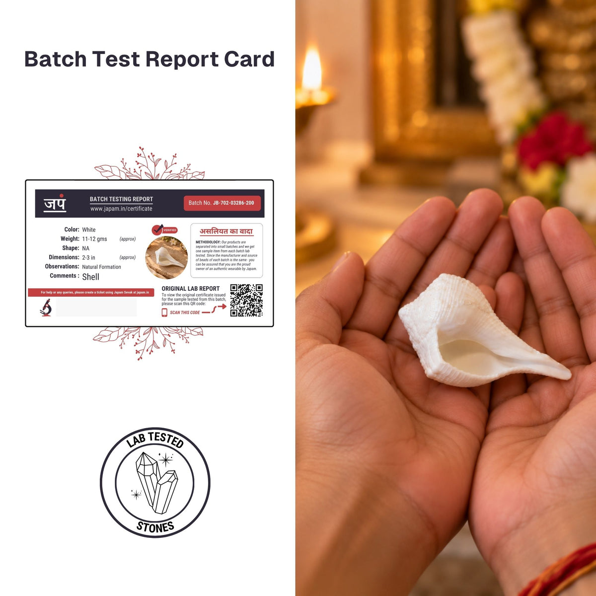 Lakshmi Dakshinavarti Shankh details