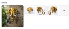 Golden elephant head wall-mounted key holder with trunk hooks shown from front, right profile, and left profile views