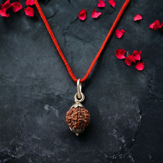 7 Mukhi Nepali Rudraksha